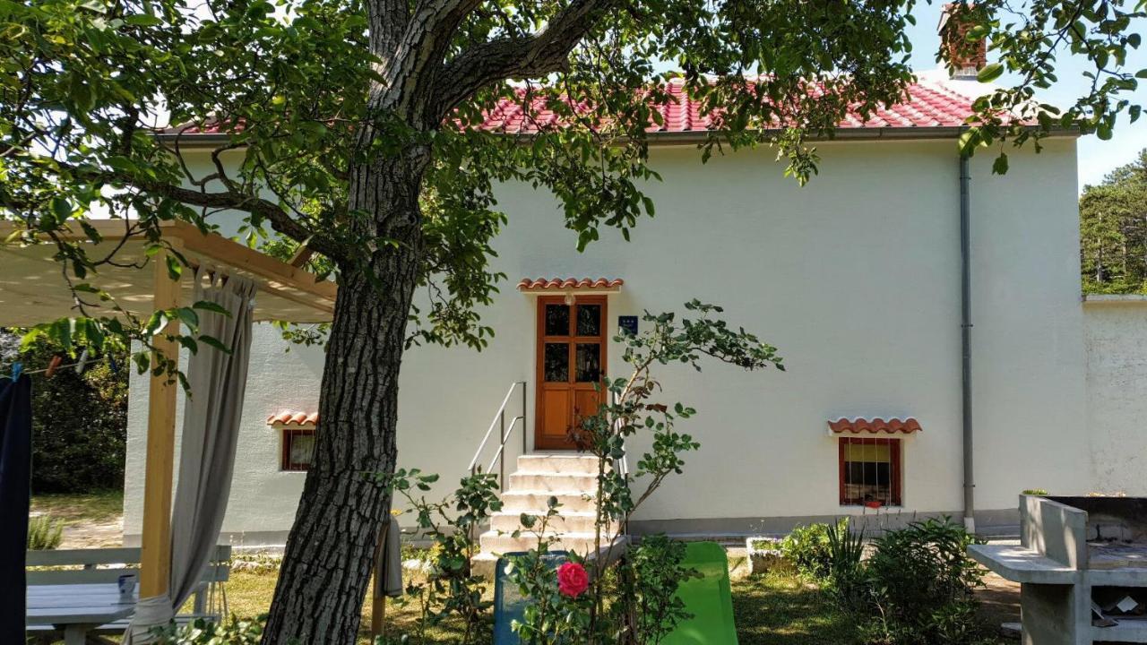 Apartament Flora Drivenik Zewnętrze zdjęcie