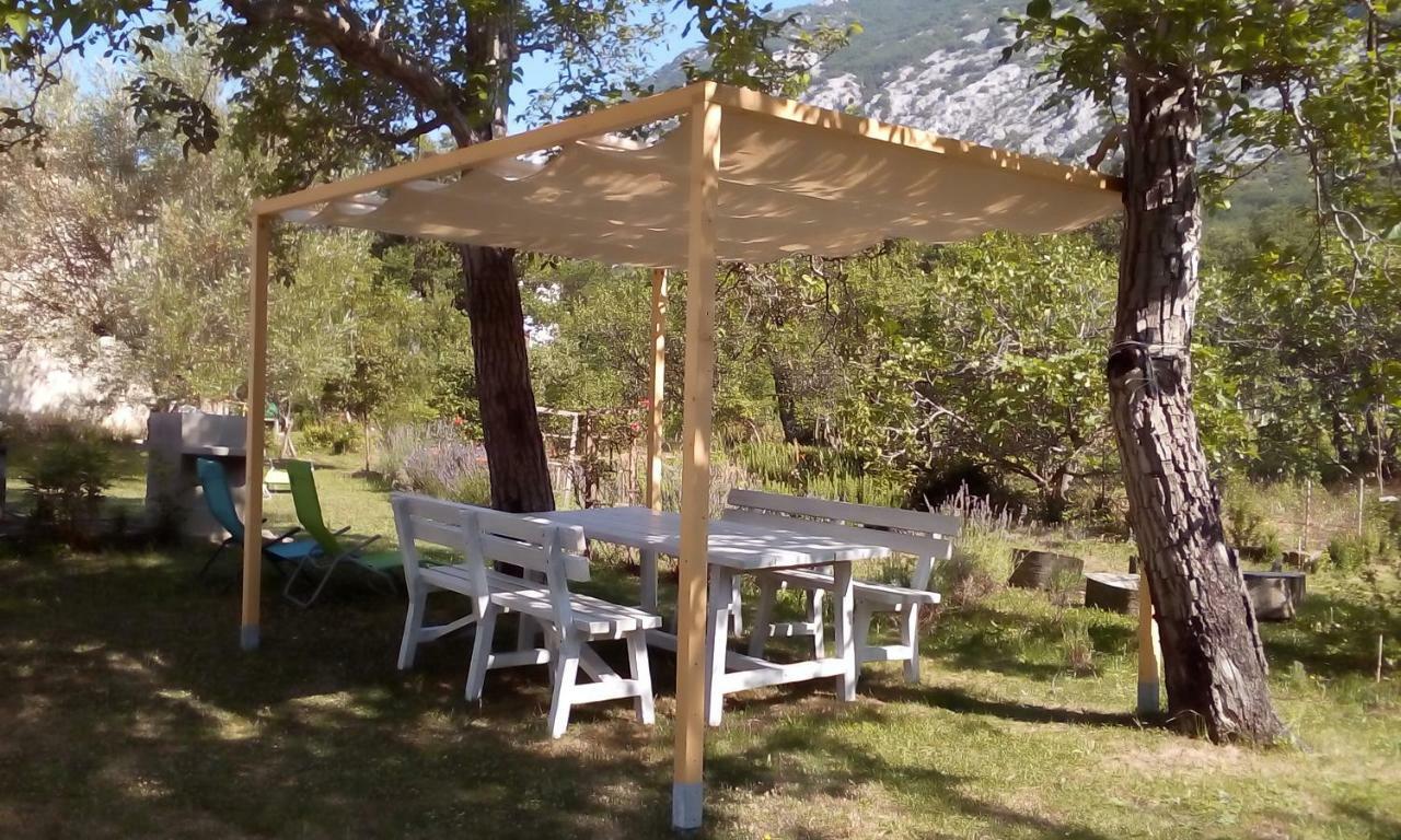 Apartament Flora Drivenik Zewnętrze zdjęcie